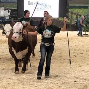 Meet your Posher, Kin